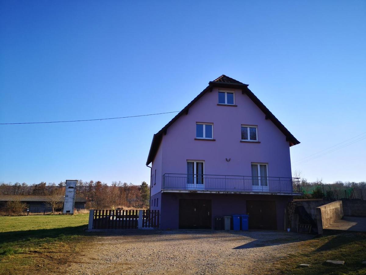 A L'Oree Du Bois Romanswiller ภายนอก รูปภาพ